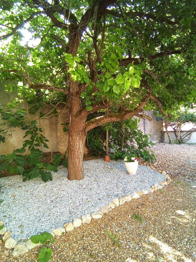 Les Cavelots A Vendome Villa Екстериор снимка